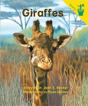 Paperback Early Reader: Giraffes Book
