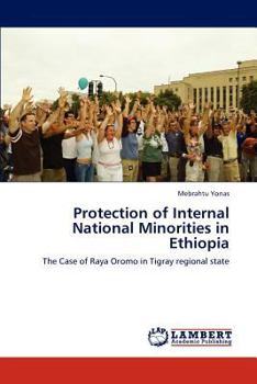 Paperback Protection of Internal National Minorities in Ethiopia Book