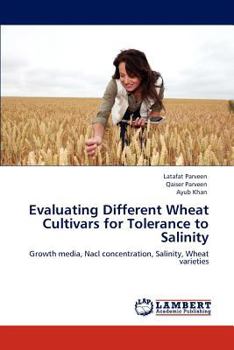 Paperback Evaluating Different Wheat Cultivars for Tolerance to Salinity Book