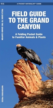 Grand Canyon, Field Guide to: A Folding Pocket Guide to Familiar Plants & Animals