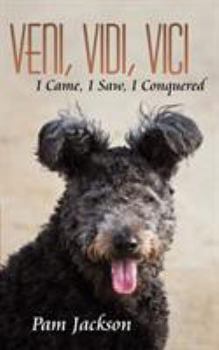 Paperback Veni, Vidi, Vici: I Came, I Saw, I Conquered Book