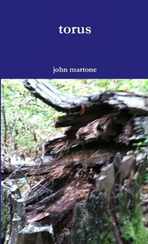 Paperback torus Book