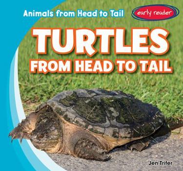 Library Binding Turtles from Head to Tail Book