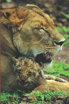 B'ajlom ii Nkotz'i'j Publications' Luo Phrasebook: Ideal for Traveling to Kenya and Tanzania