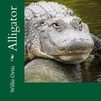 Paperback Alligator Book