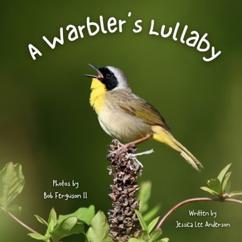 Warbler's Lullaby