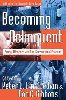 Paperback Becoming Delinquent: Young Offenders and the Correctional Process Book