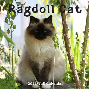 Ragdoll Cat Wall Calendar 2021: Ragdoll Cat Calendar 2021, 18 Months