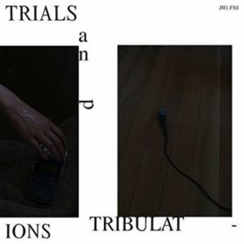 Vinyl Trials And Tribulations Book