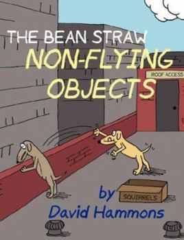 Paperback The Bean Straw: Non-Flying Objects Book