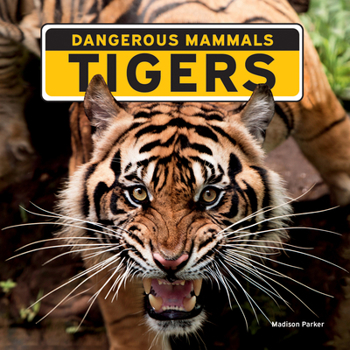 Paperback Tigers Book