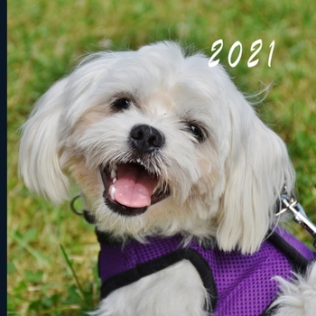 2021: Monthly Photo Calendar | January 2021 - December 2021 | Monthly Calendar with U.S./UK/ Canadian/Christian/Jewish/Muslim Holidays |