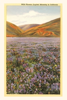 Paperback The Vintage Journal Wildflowers in California Book