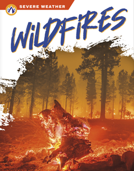 Library Binding Wildfires Book