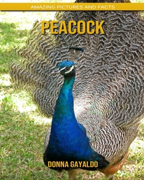 Peacock: Amazing Pictures and Facts