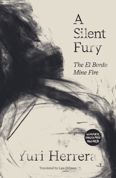 Paperback A Silent Fury: The El Bordo Mine Fire Book