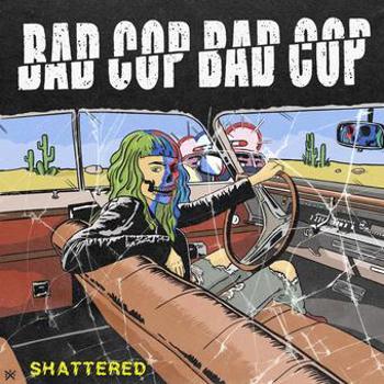 Vinyl Shattered / Safe And Legal Book