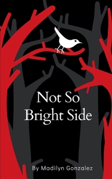 Paperback Not So Bright Side Book