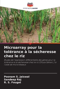 Paperback Microarray pour la tolérance à la sécheresse chez le riz [French] Book