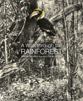Hardcover A Walk Through the Rain Forest Book