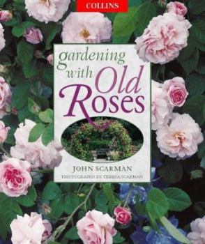 Paperback Gardening with Old Roses Book