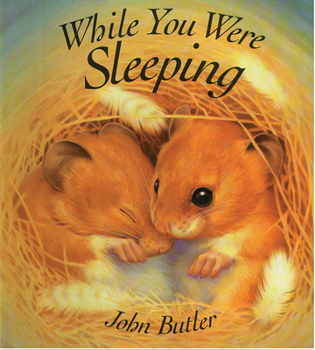 Board book While You Were Sleeping Book