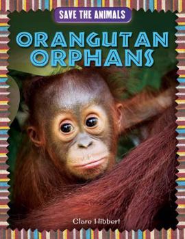 Library Binding Orangutan Orphans Book