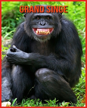 Paperback Grand Singe: Images Etonnantes & Informations Amusantes Concernant les Animaux dans la Nature [French] Book