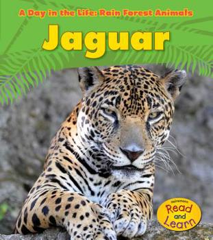 Hardcover Jaguar Book