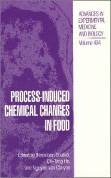 Hardcover Process-Induced Chemical Changes in Food Book