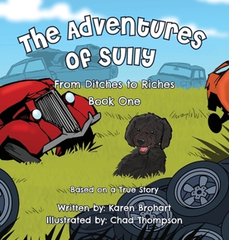 Hardcover From Ditches to Riches Book