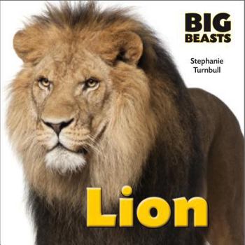 Lion - Book  of the Big Beasts