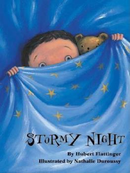 Hardcover Stormy Night Book
