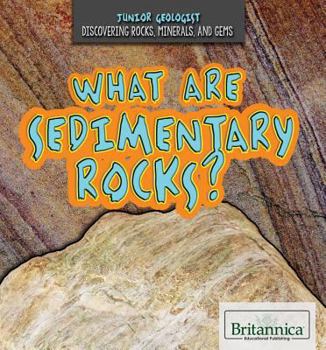 Paperback What Are Sedimentary Rocks? Book