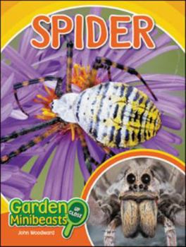 Hardcover Spider Book