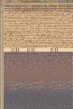 Hardcover The Deceiving Scriptures Book