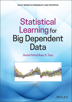 Hardcover Statistical Learning for Big Dependent Data Book