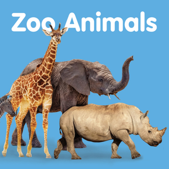 Board book Zoo Animals Book