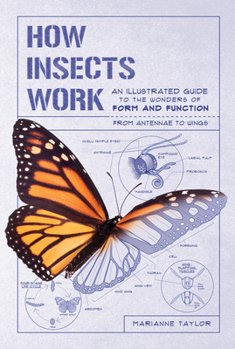 Paperback How Insects Work: An Illustrated Guide to the Wonders of Form and Function - From Antennae to Wings Book