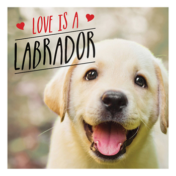 Hardcover Love Is a Labrador: A Lab-Tastic Celebration of the World's Favourite Dog Book