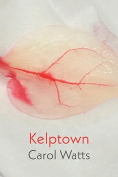 Paperback Kelptown Book