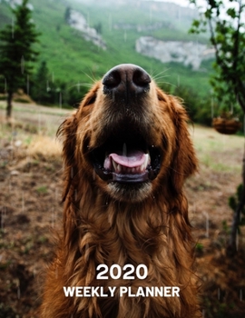 Paperback 2020 Weekly Planner: Golden Retriever Dog 52 Week Journal 8.5 x 11 inches for Women, Academic Organizer Monthly Calendar Scheduler Appointm Book