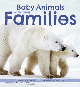 Paperback Baby Animals with Their Families Book