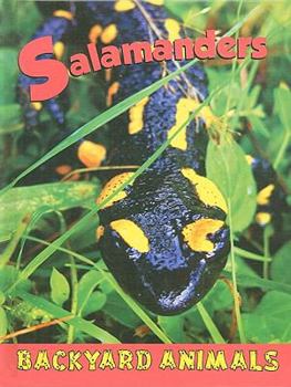 Salamanders - Book  of the Backyard Animals