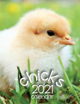 Paperback Chicks 2021 Calendar Book