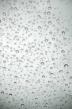 Paperback Wanderer Book