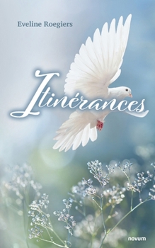 Paperback Itinérances [French] Book