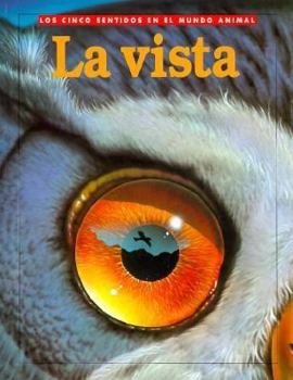Sight