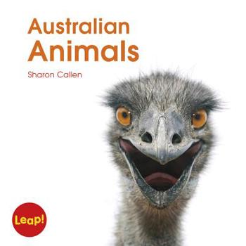 Paperback Australian Animals Book