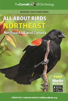 Paperback All about Birds Northeast: Northeast Us and Canada Book